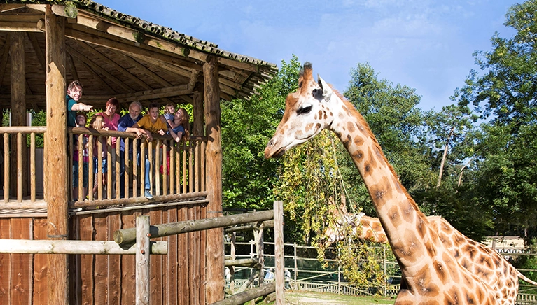 Oasis des animaux Bellewaerde